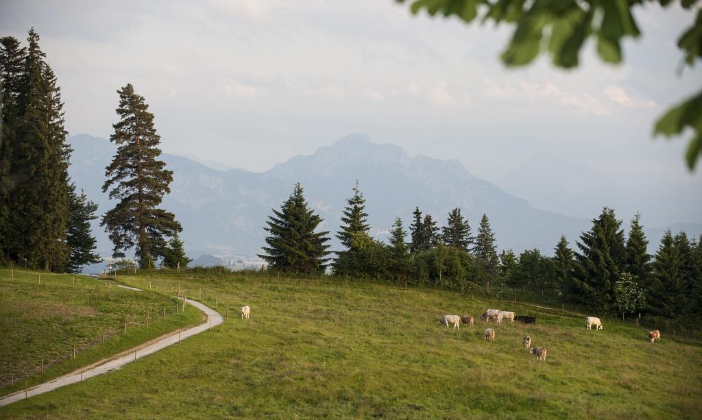 Panoramagasthof Auf Dem Auerberg Bernbeuren Ngoại thất bức ảnh